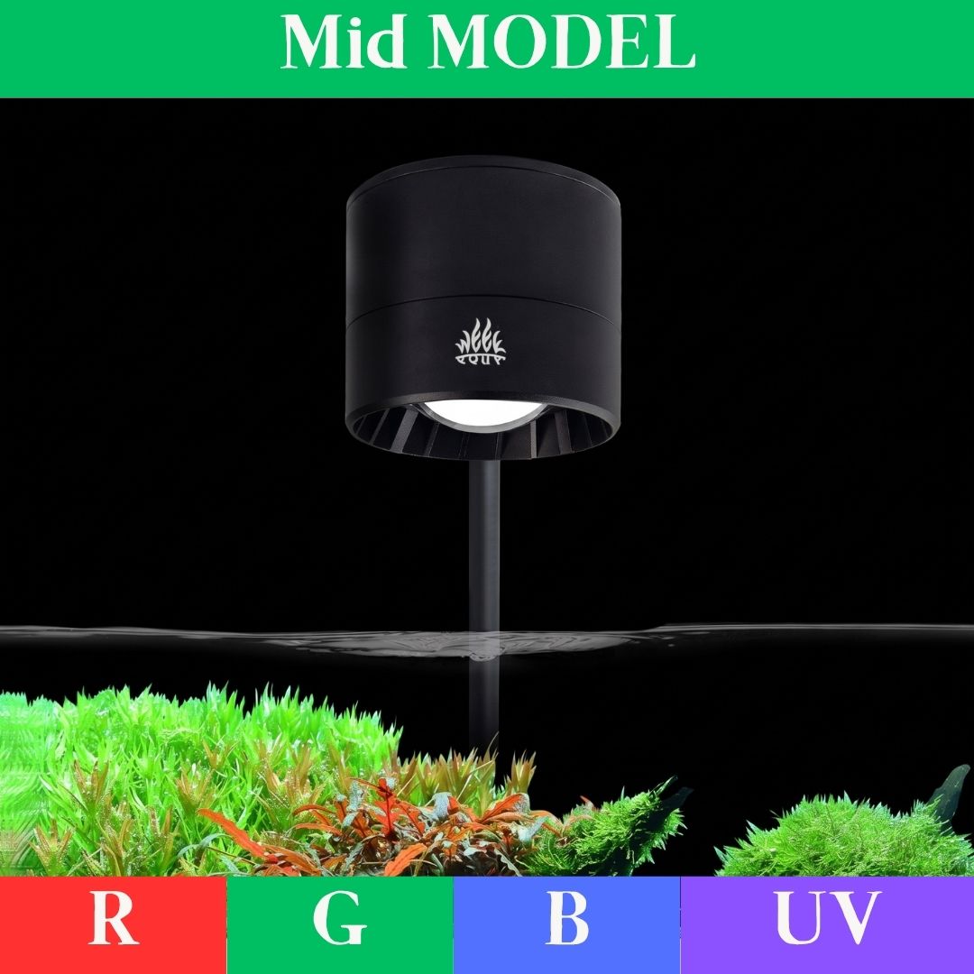 Plant Parent App - WEEK AQUA T95PRO SPOT RGB+UVA 90°