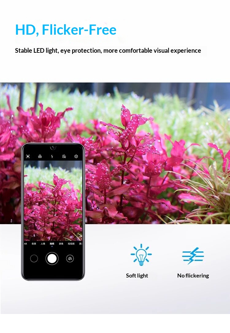 WEEK AQUA Z Series Aquarium Pl - огляд і ціна Plant Parent App