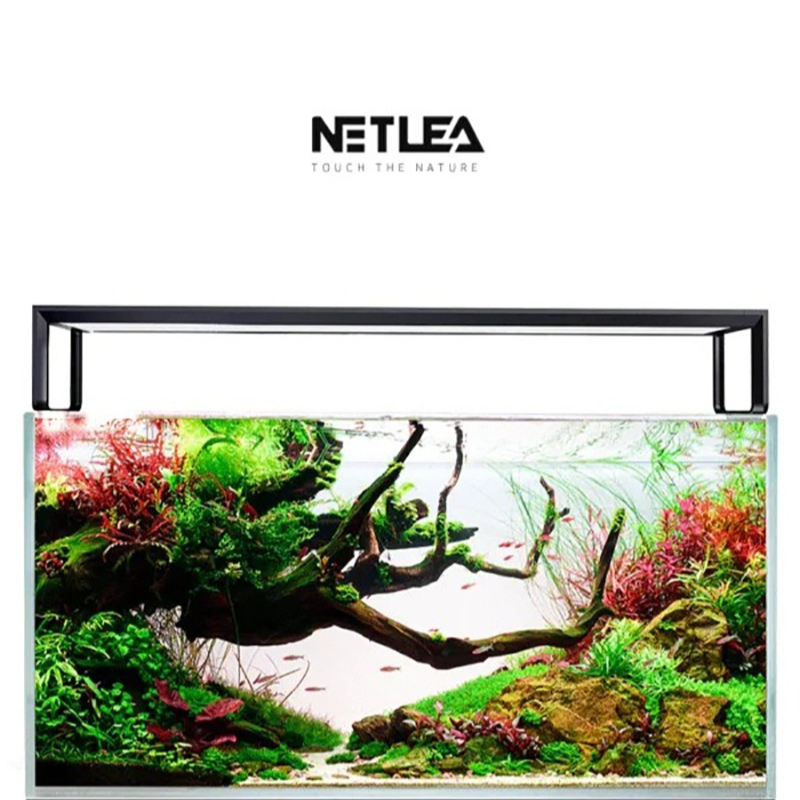Netlea AT5S V4 Smart Wifi APP  - огляд і ціна Plant Parent App