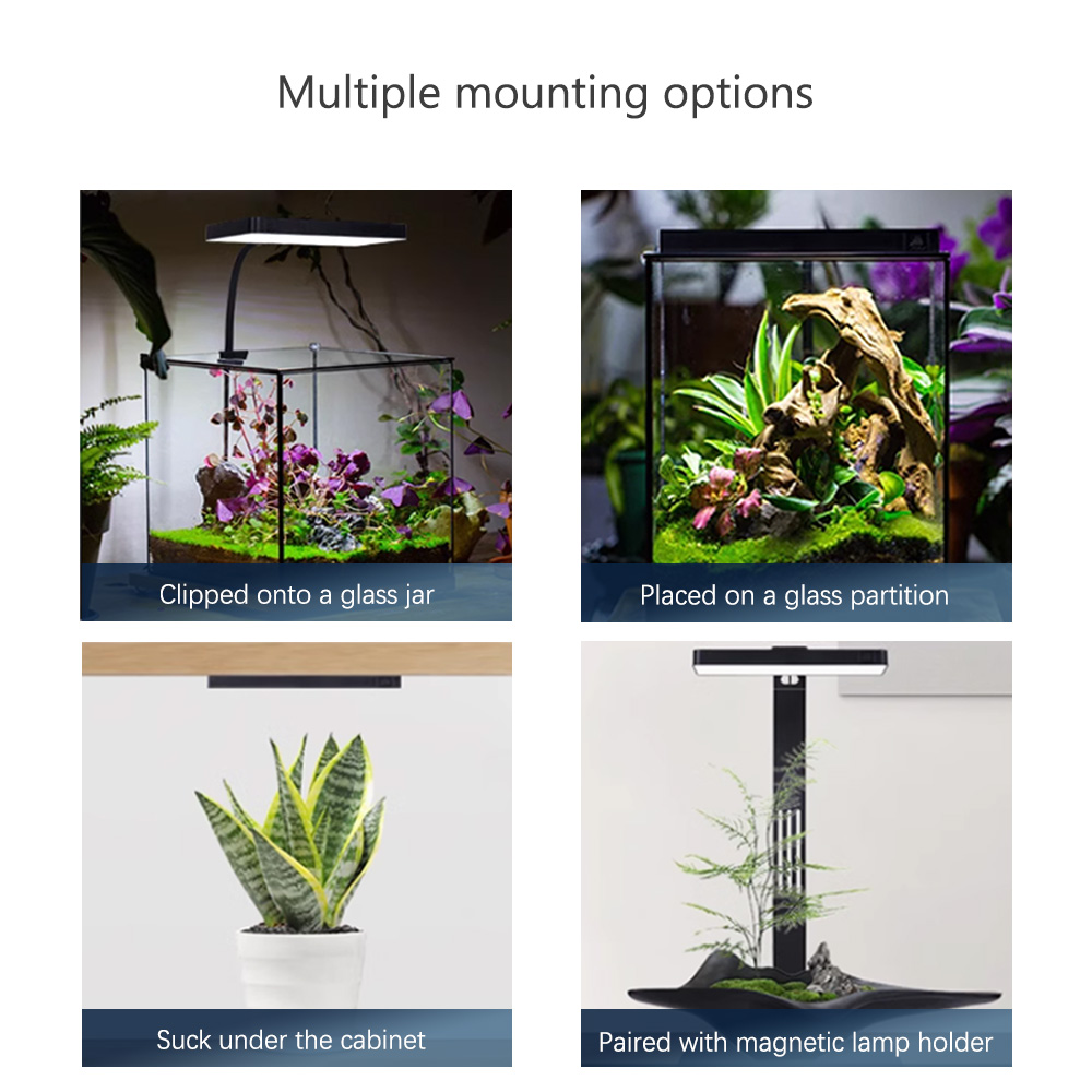 WEEK AQUA RGB+UV New Mode Spec - огляд і ціна Plant Parent App
