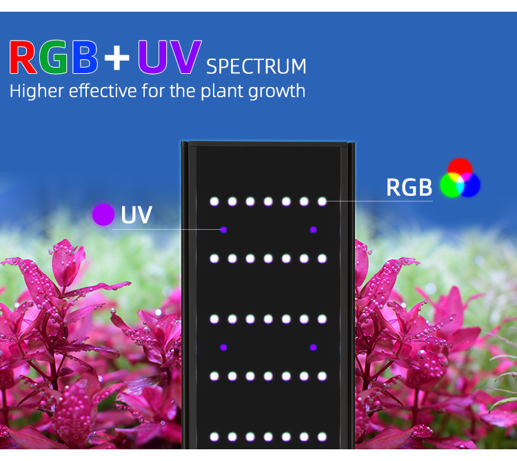 WEEK AQUA L Series APP Control - огляд і ціна Plant Parent App